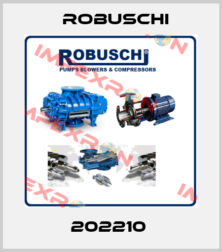 202210  Robuschi