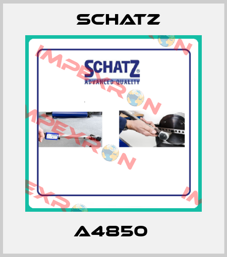 A4850  Schatz