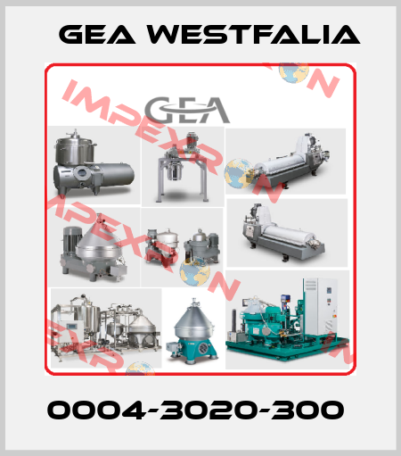 0004-3020-300  Gea Westfalia