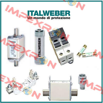 0900508  Italweber