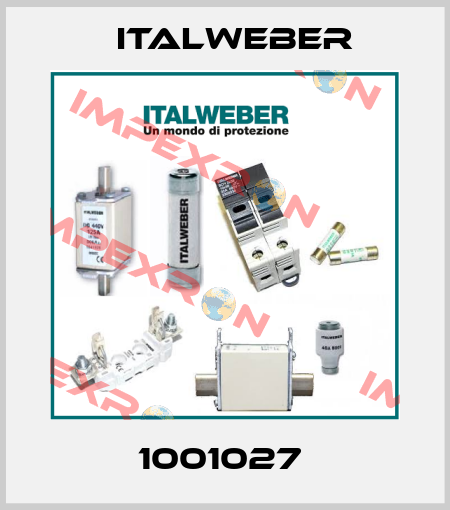 1001027  Italweber