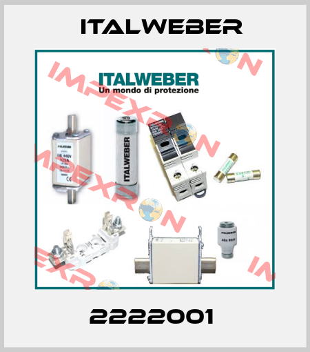 2222001  Italweber