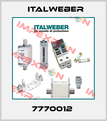 7770012  Italweber