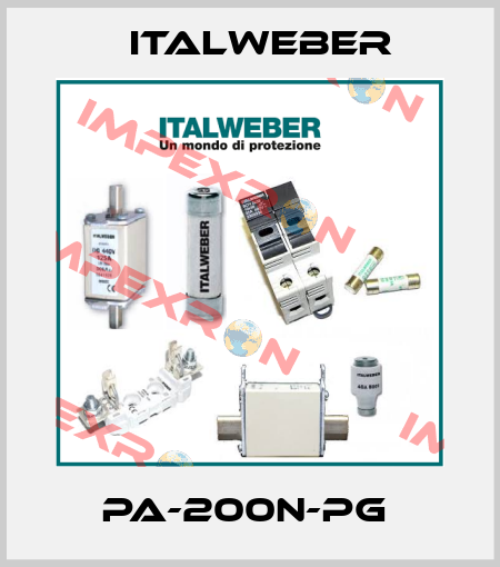 PA-200N-PG  Italweber