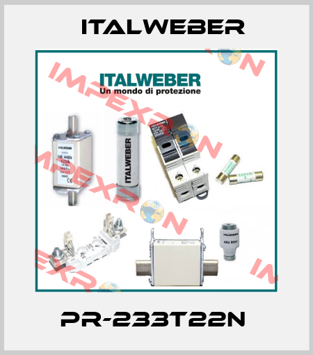 PR-233T22N  Italweber