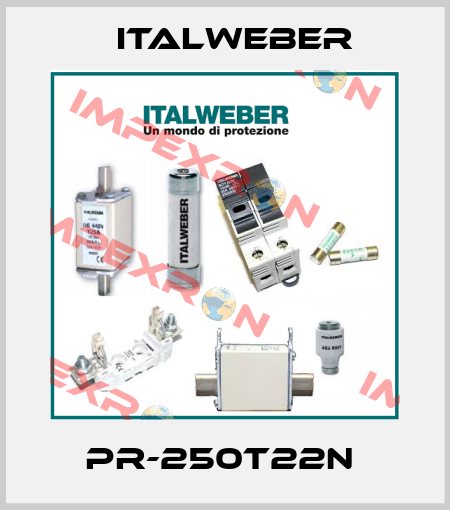 PR-250T22N  Italweber