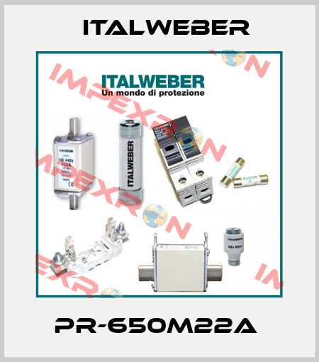 PR-650M22A  Italweber