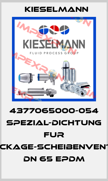 4377065000-054 SPEZIAL-DICHTUNG FUR LECKAGE-SCHEIBENVENTIL DN 65 EPDM Kieselmann