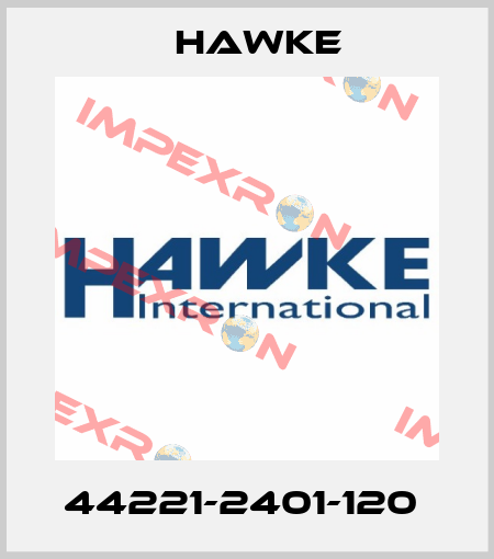 44221-2401-120  Hawke