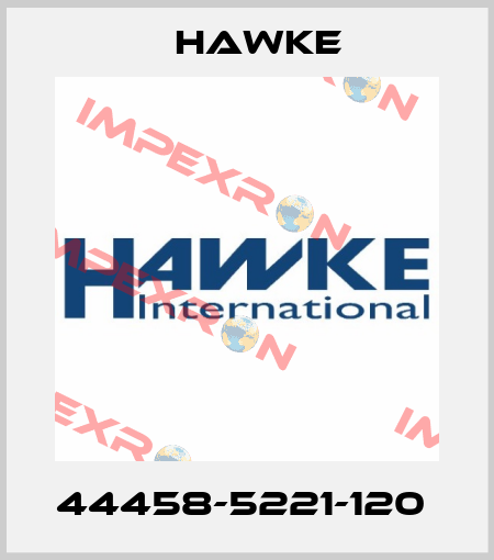 44458-5221-120  Hawke