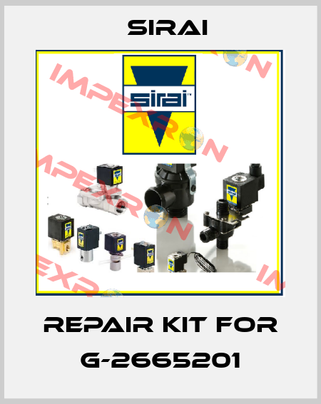 repair kit for G-2665201 Sirai