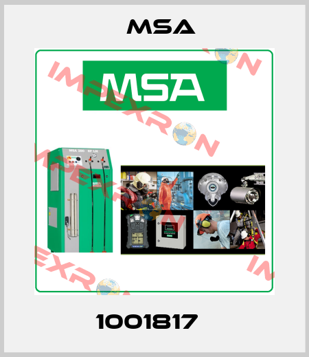 1001817   Msa