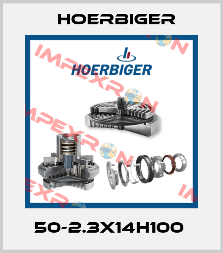 50-2.3X14H100  Hoerbiger