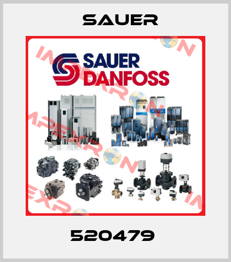 520479  Sauer