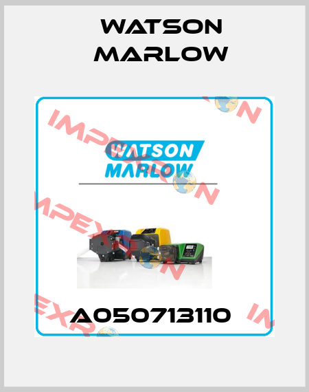 A050713110  Watson Marlow