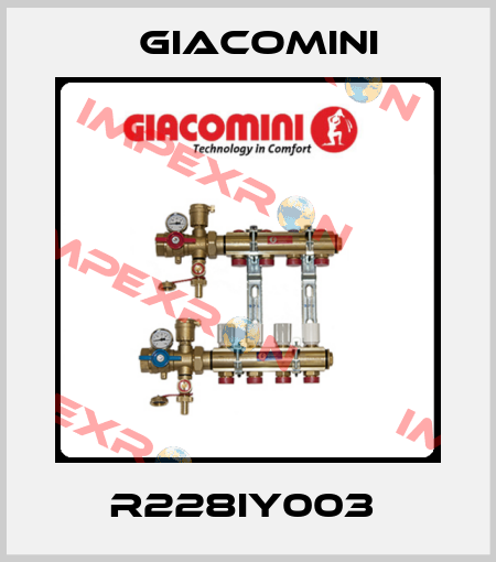 R228IY003  Giacomini