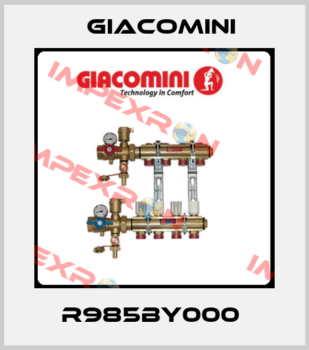 R985BY000  Giacomini