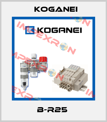 B-R25  Koganei