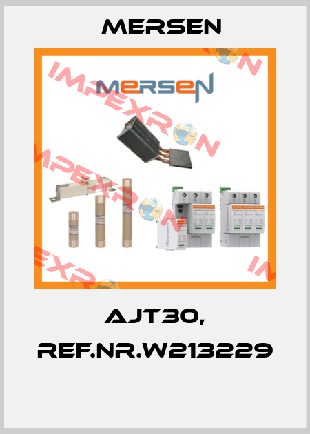 AJT30, REF.NR.W213229  Mersen