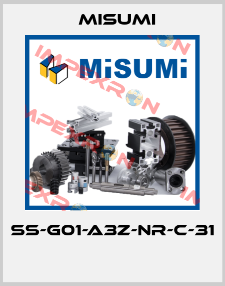 SS-G01-A3Z-NR-C-31  Misumi
