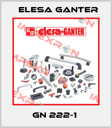 GN 222-1  Elesa Ganter