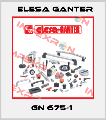 GN 675-1  Elesa Ganter