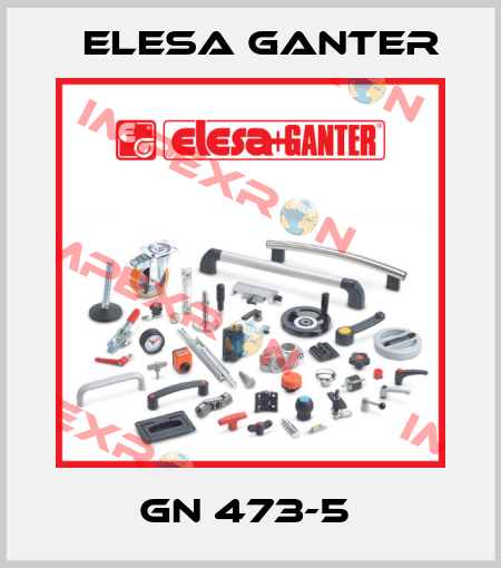 GN 473-5  Elesa Ganter