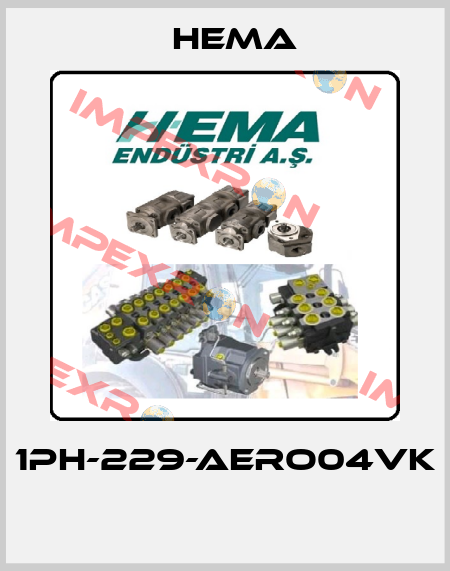 1PH-229-AERO04VK  Hema