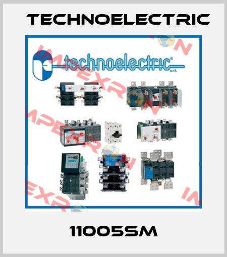 11005SM Technoelectric