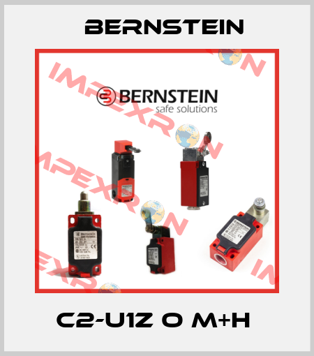 C2-U1Z O M+H  Bernstein