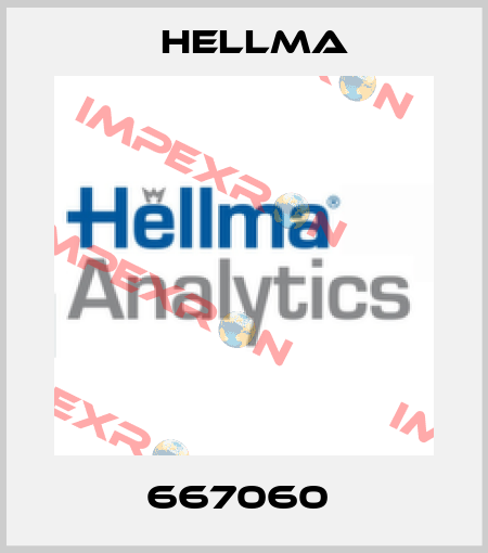 667060  Hellma