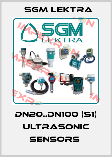 DN20..DN100 (S1) ULTRASONIC SENSORS  Sgm Lektra