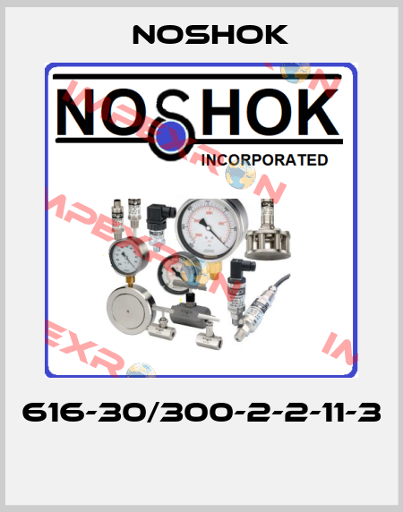 616-30/300-2-2-11-3  Noshok