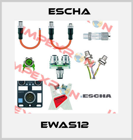 EWAS12  Escha