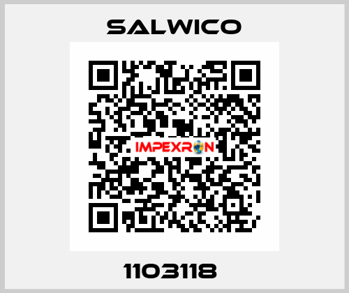 1103118  Salwico