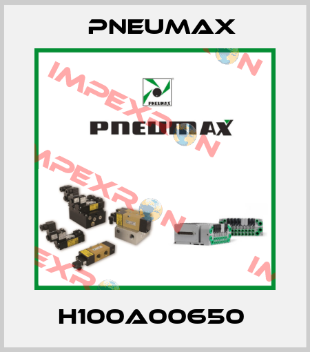H100A00650  Pneumax