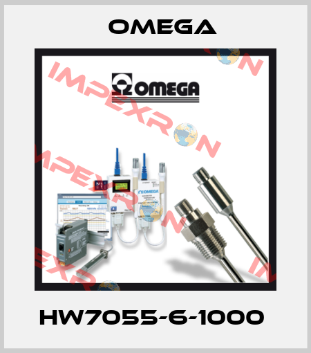 HW7055-6-1000  Omega