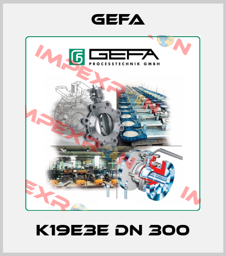 K19E3E DN 300 Gefa