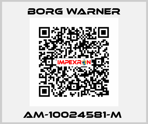 AM-10024581-M  Borg Warner