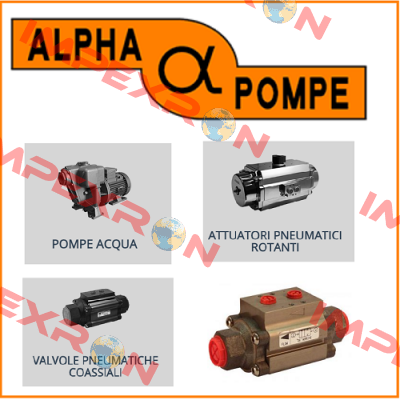 Pumpe 03 RAG-T 400/690V - Nr. 23334.00 Alpha Pompe