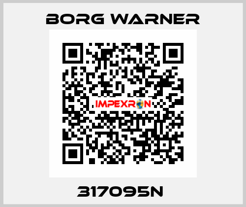 317095N  Borg Warner