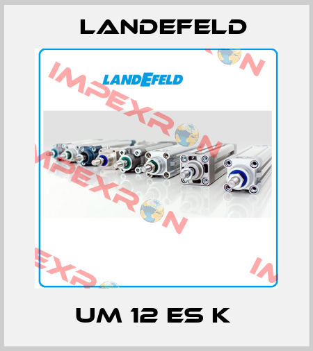 UM 12 ES K  Landefeld