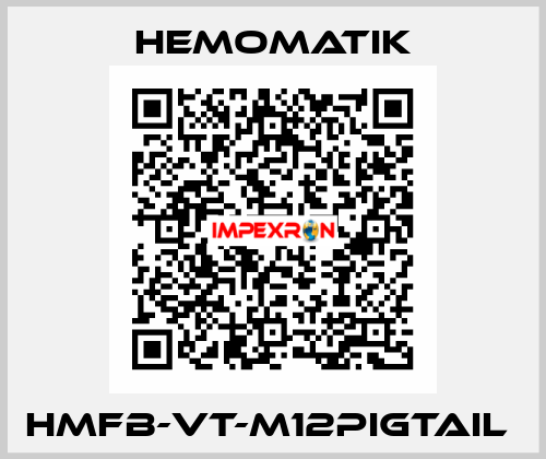 HMFB-VT-M12PIGTAIL  Hemomatik