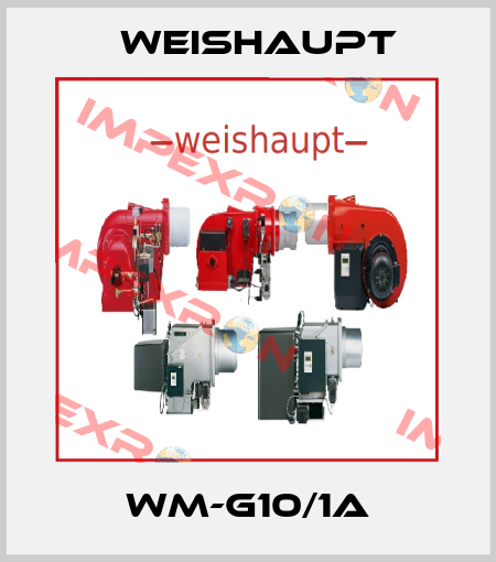 WM-G10/1A Weishaupt
