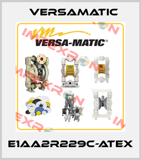 E1AA2R229C-ATEX VersaMatic