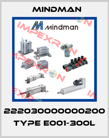 222030000000200 Type E001-300L Mindman