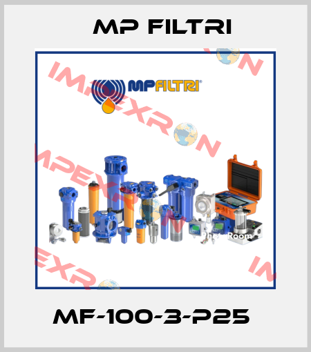 MF-100-3-P25  MP Filtri