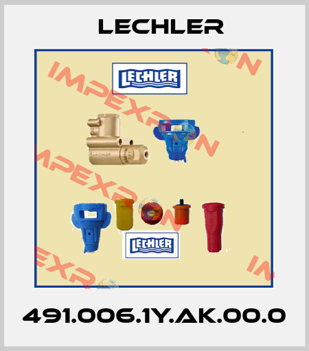 491.006.1Y.AK.00.0 Lechler