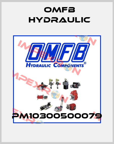PM10300500079 OMFB Hydraulic