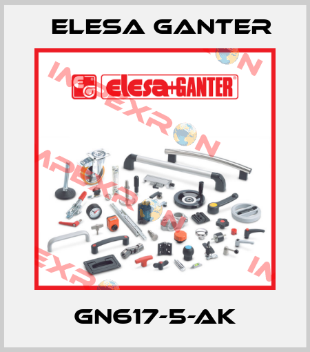 GN617-5-AK Elesa Ganter
